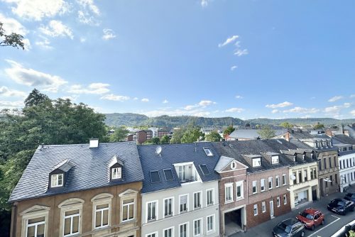 Friedmann Immobilien Trier, Gemütliche Dachgeschoss-Wohnung mit tollem Fernblick in Trier-Süd zum Kauf